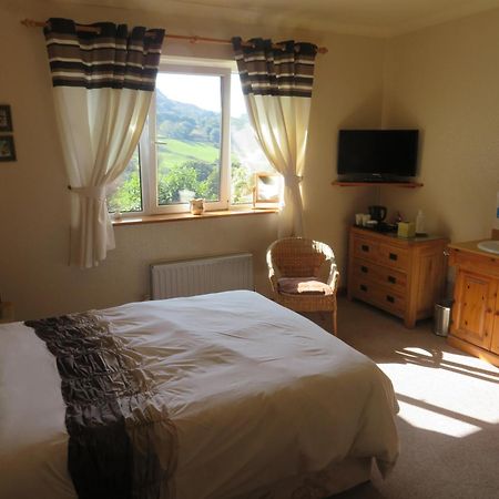 Heulwen Guest House 돌겔라우 외부 사진
